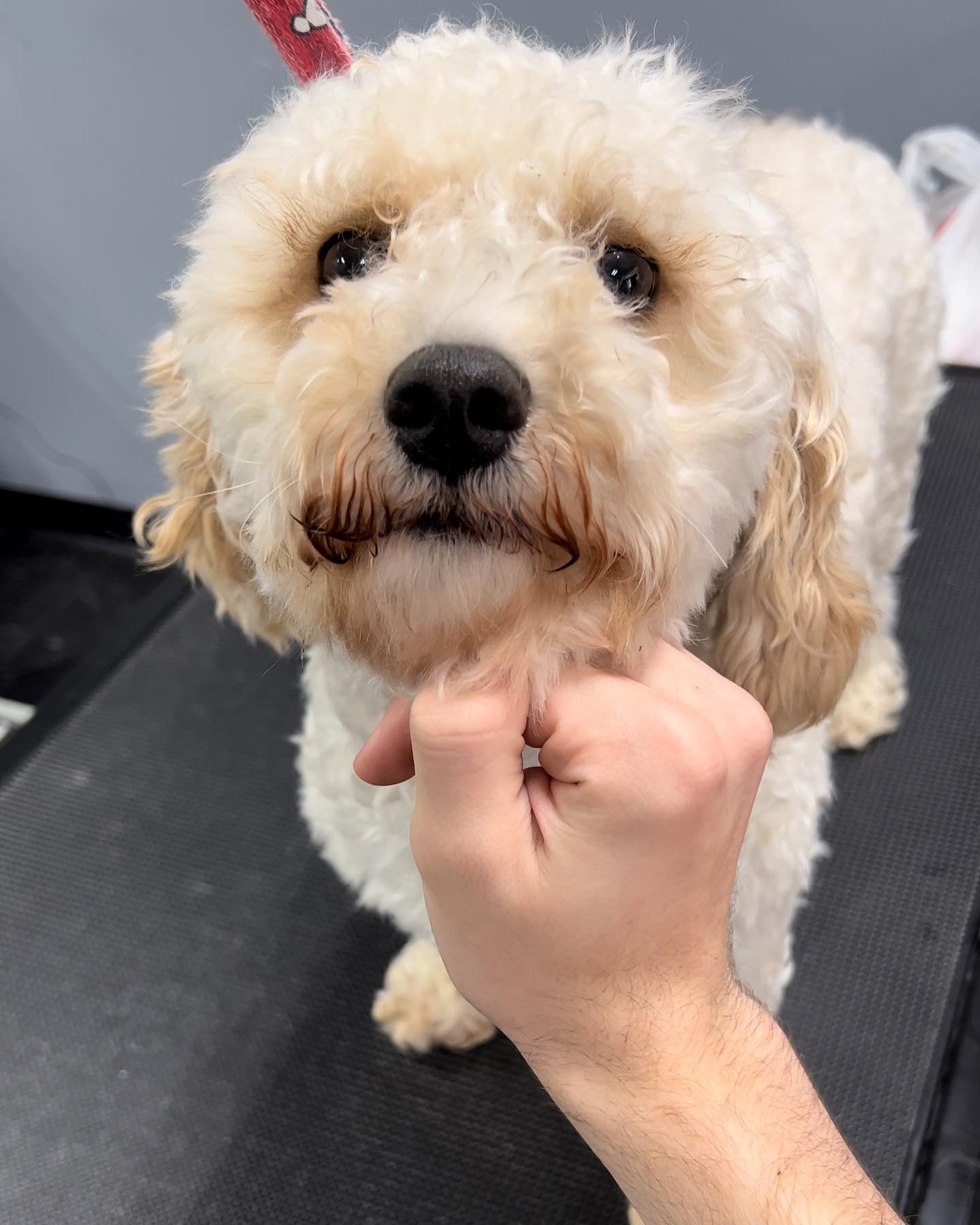 🌈 My Beautiful Boy 🌈